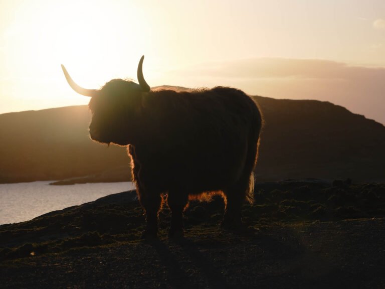 Isle of Harris and Lewis, Outer Hebrides, Scotland