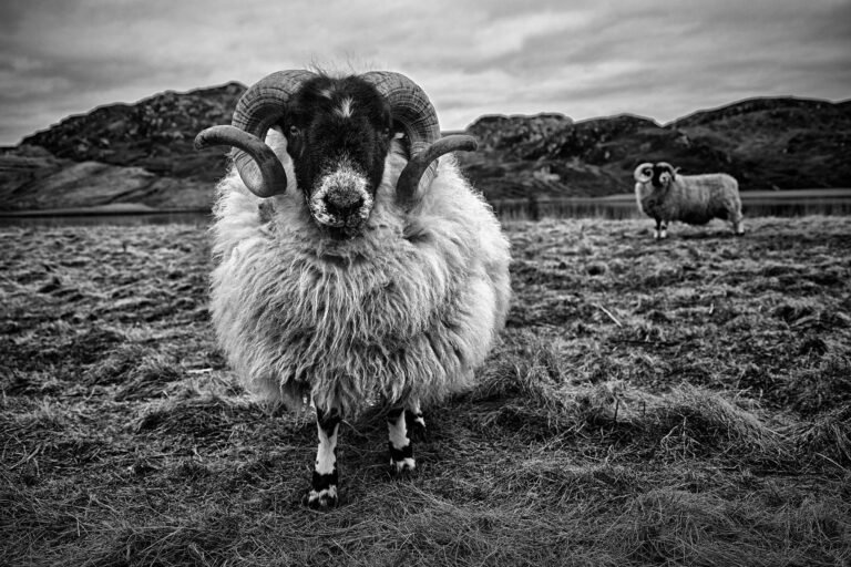 Isle of Harris and Lewis, Outer Hebrides, Scotland