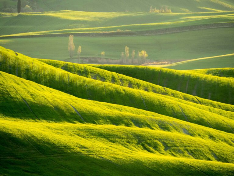 Rolling Tuscany hills in spring, Italy.