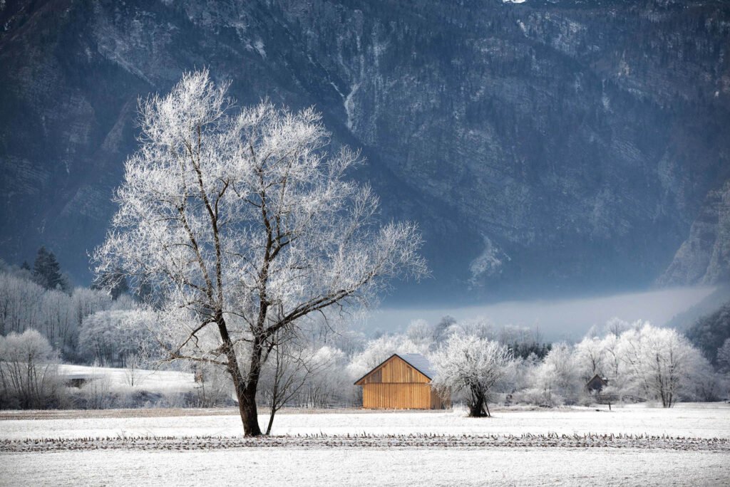 Hoar frost in Slovenia.