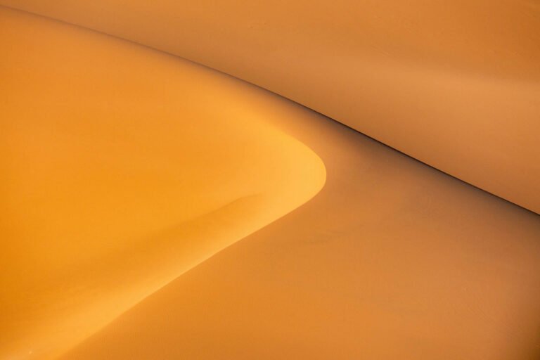 Desert shades in Morocco