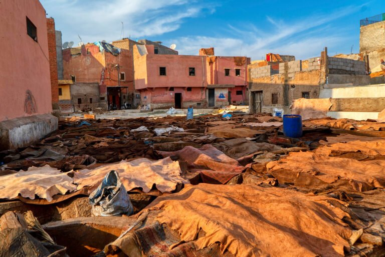 Tannery in Morocco