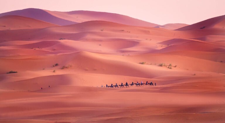 The morning train, Morocco