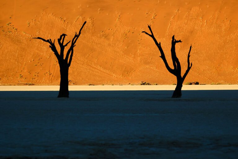 Deadvlei ,Sossusvlei, Namib-Naukluft Park, Namibia