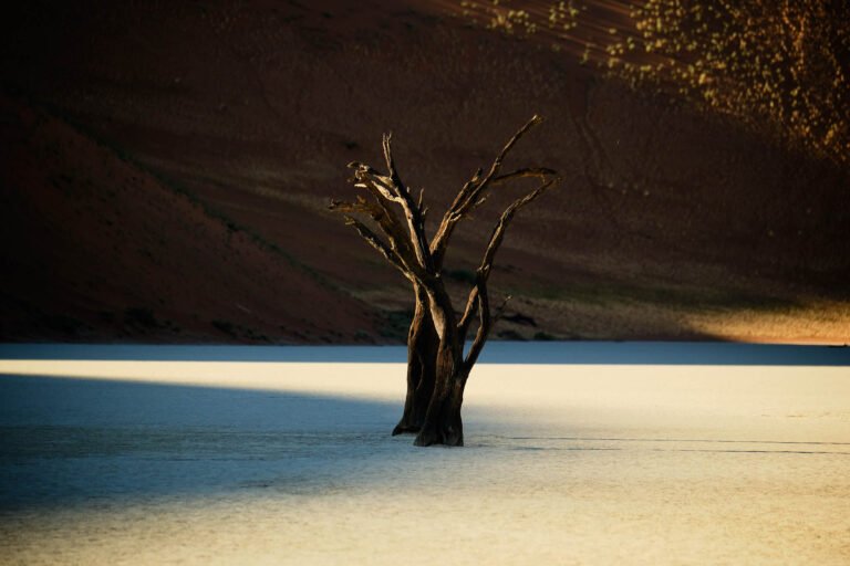 Deadvlei ,Sossusvlei, Namib-Naukluft Park, Namibia