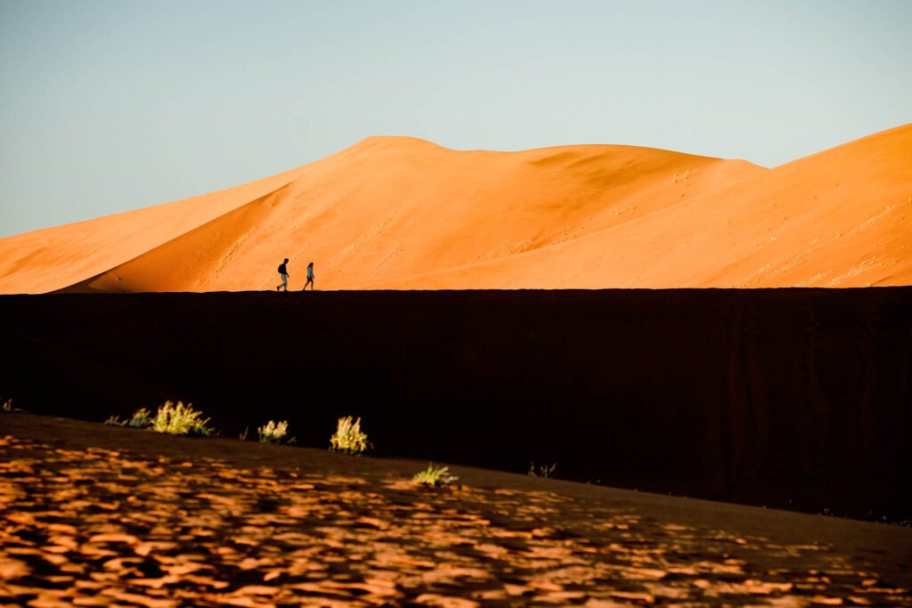 Deadvlei ,Sossusvlei, Namib-Naukluft Park, Namibia.