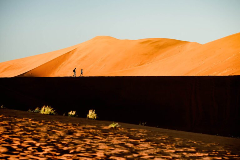 Deadvlei ,Sossusvlei, Namib-Naukluft Park, Namibia.
