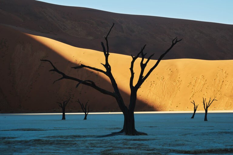 Deadvlei ,Sossusvlei, Namib-Naukluft Park, Namibia