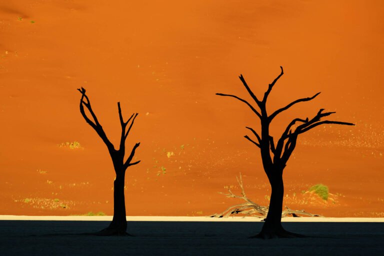 Deadvlei ,Sossusvlei, Namib-Naukluft Park, Namibia