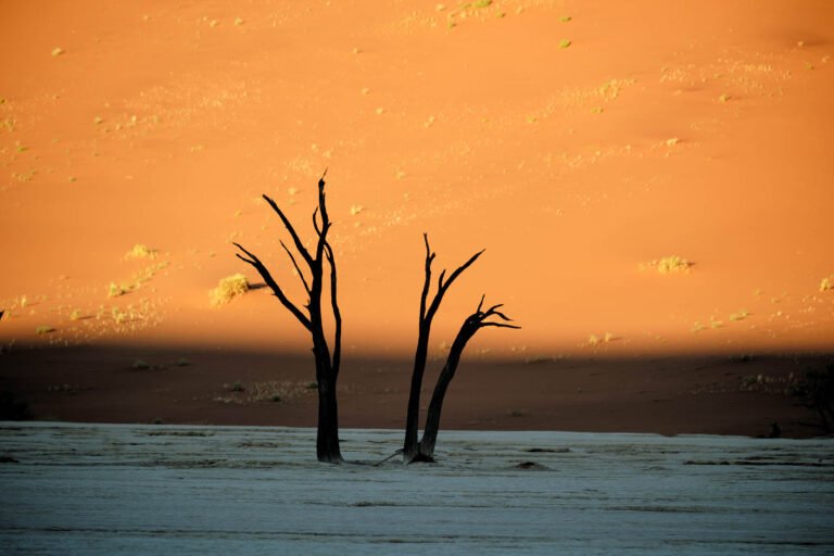 Deadvlei ,Sossusvlei, Namib-Naukluft Park, Namibia