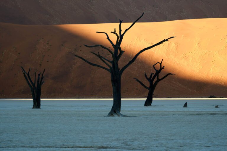 Deadvlei ,Sossusvlei, Namib-Naukluft Park, Namibia