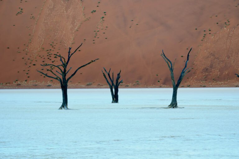 Deadvlei ,Sossusvlei, Namib-Naukluft Park, Namibia