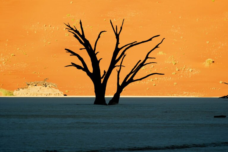 Deadvlei ,Sossusvlei, Namib-Naukluft Park, Namibia