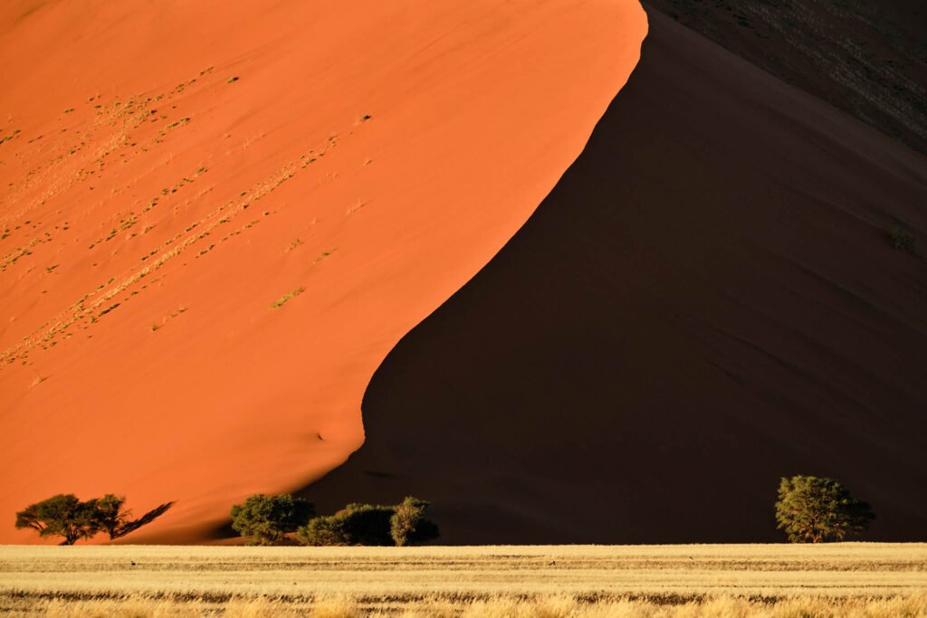 Namib-Naukluft Park, Namibia.