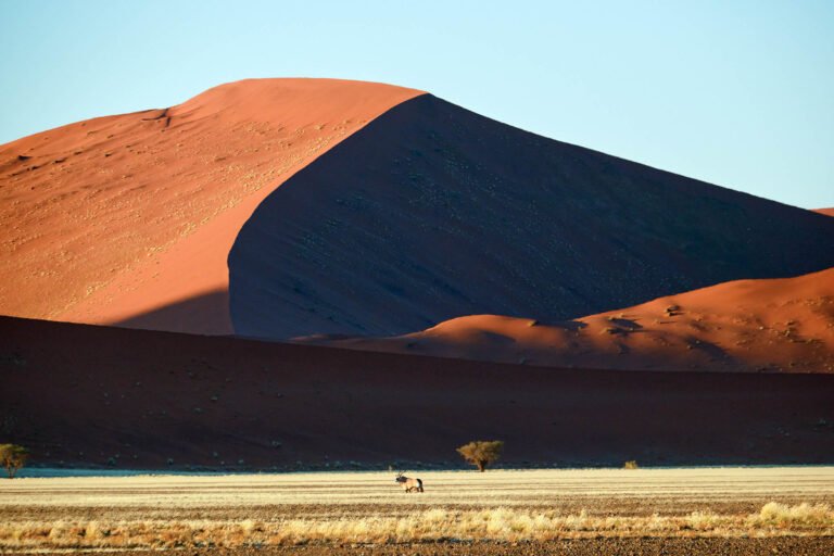 Oryx in Namib-Naukluft Park, Namibia