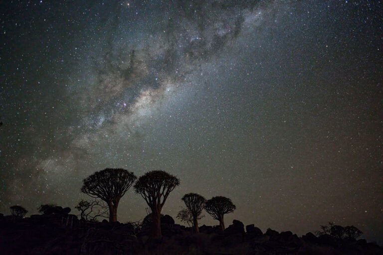 Milky Way over the Quiver tree forest, Namibia