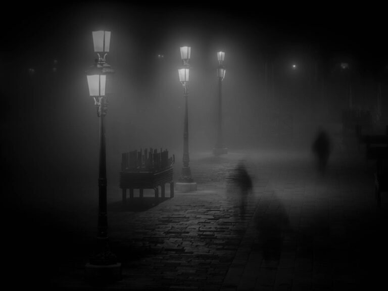 Misty Venice at Night in black and white