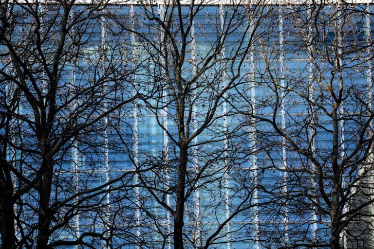 Berlin Government District