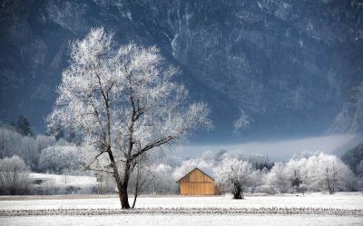 Hoar frost in Slovenia.
