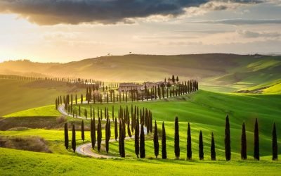 Row of cypress trees near Pienza, Tuscany, Italy. Tuscany photography workshops and tours with Rodney O'Callaghan.