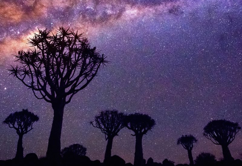 Quiver Tree Forest, Namibia. Namibia Photography Tour & Workshop.